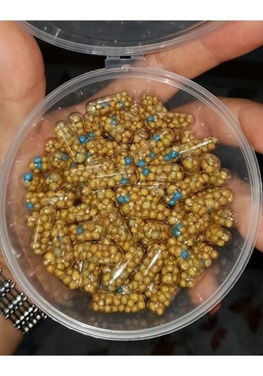 Bitkili Akvaryum Taban Malzeme Seti 50 Lt Akvaryumlara Uygun