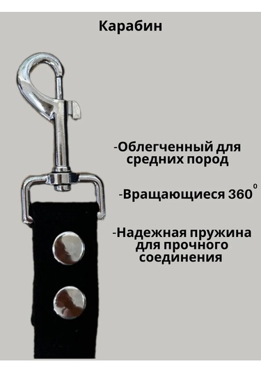 Tehpro44 Köpekler İçin 2 Metre Branda Tasma. 274289400 Siyah