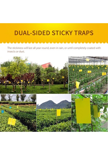 Geeroyoo Orman Bahçe Sebze Bahçesi İçin 20x25cm Sarı Çift Taraflı Tutkal Trapları - 20 Adet + Rastgele Renkli Bağlama İpi