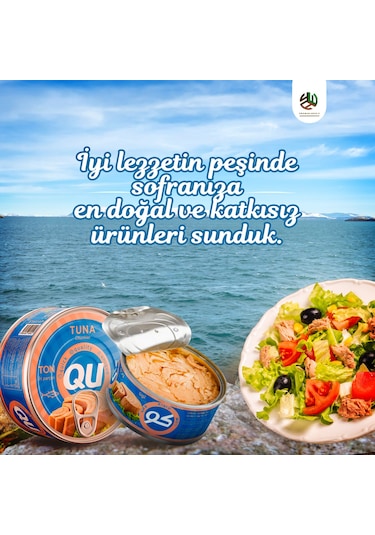 Qu Sade Ton Balığı 12 x 160 G