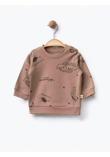 Erkek Bebek Dinazor Baskılı Organik Eşofman Takım-15481 Kahverengi