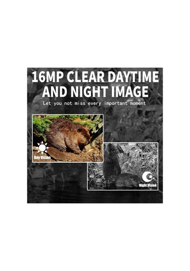 Pr300 Açık Hava Gece Görüşlü Avcılık Takip Kamerası 12mp Hareketle Etkinleştirilir Çok Renkli