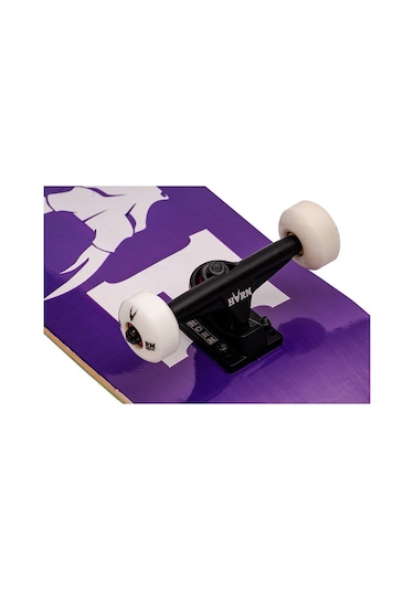 Horn 8.0 Classic Logo Purple Complete Profesyonel Kaykay Çok Renkli