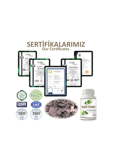 Gökçek Şifa Maytake (Maitake Mushroom Capsule) 60 Kapsül