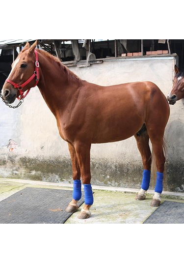 Suntek 4 Parça At Bacak Sarar Pony Legging Wrap At Atel Destek Mavi