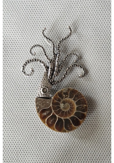 Gerçek Amonit Fosili Benzersiz Broş Br10-9 Kahverengi