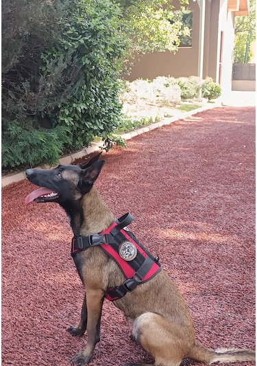 Tactical Göğüs Tasması Taktik Tasma Kırmızı