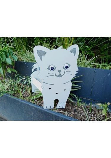 Kedi Saksı Saksı Hediyeli