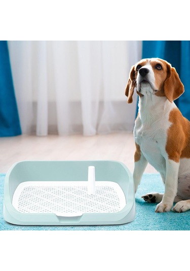 Homyl Yıkanabilir Pet Eğitim Tuvalet Tepsisi Lazımlık Yeşil