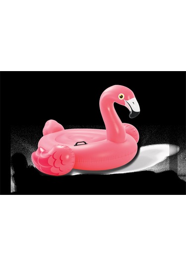 Flamankuşu Figürlü Tırabzanlı Şişme Deniz Yatağı Çok Renkli