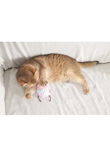 M-pets Fluffy Loo Catnipli Kedi Oyuncağı Multicolor