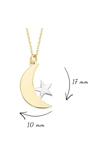 Ay Yıldız Altın Kolye Ucu As1422Gkl Altınsepeti