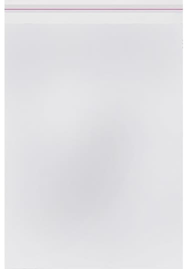 Şeffaf Bantlı Yapışkanlı Jelatin Poşet 25'li 25 x 30 + 5 CM