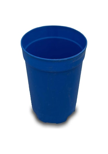 Katı Plastik Sukulent Saksısı 10 Adet Mavi 5.5 Cm