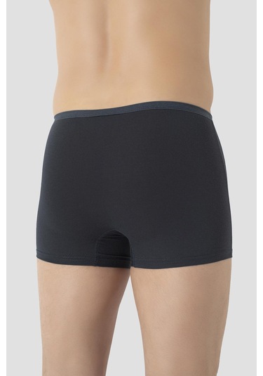 Arma Yıldız Erkek İnce Bel Lastikli Bambu Boxer Füme 5'li Paket Füme