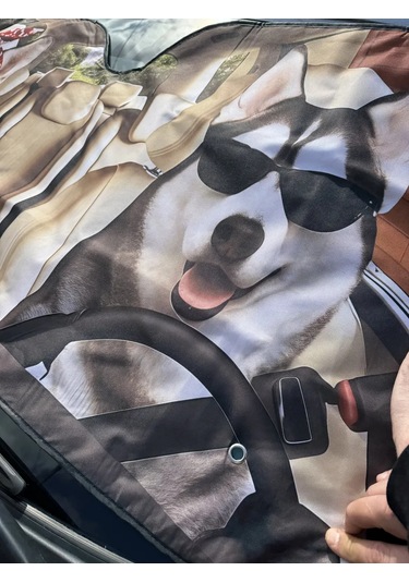 D.kovalev 140 X 70 Cm Ön Cam Güneşliği 249485092