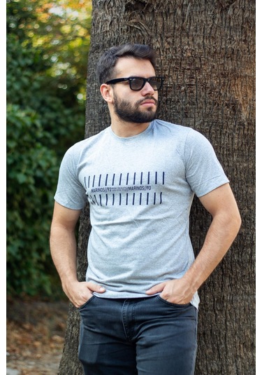 Erkek Gri Çizgi Baskılı Normal Kesim Bisiklet Yaka Erkek Tişört 22etshmros 001