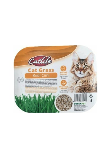 Catlife Cat Grass Kedi Çimi