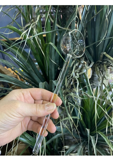 Mercan Borosilikat Cam Sos Kepçesi