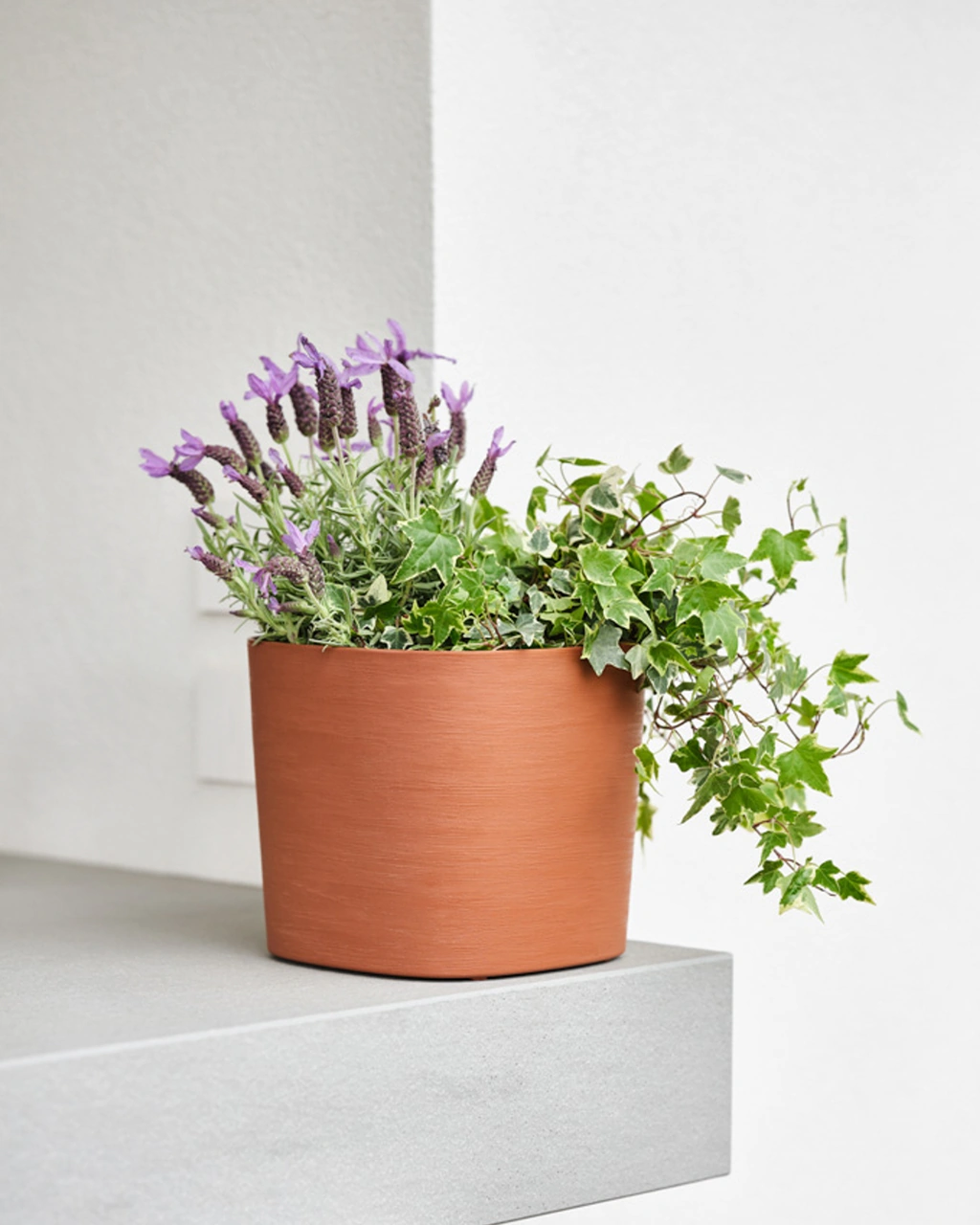 Capri 38 Kırmızı Plastik Saksı + Su Seviyesi Göstergesi 38 Cm