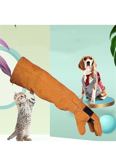 Trendooze Homyl Hayvan Eldivenleri, Anti-çizme, Dayanıklı