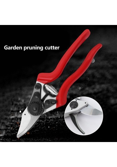 Pazly Tian Tayvan Sakawa Sagawata Meyve Makası Makası Gözdesi Budama Bahçe Amazon'un Ağaçları 7005 7005 Qj