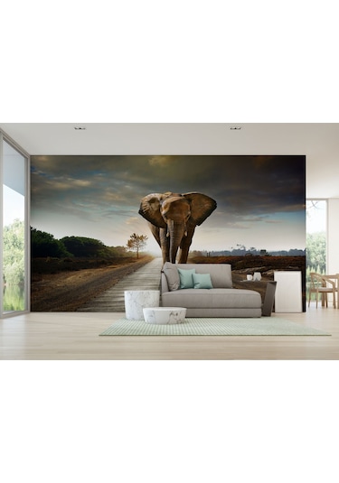 Yürüyen Fil Duvar Kağıdı - Posteri-3959 Çok Renkli