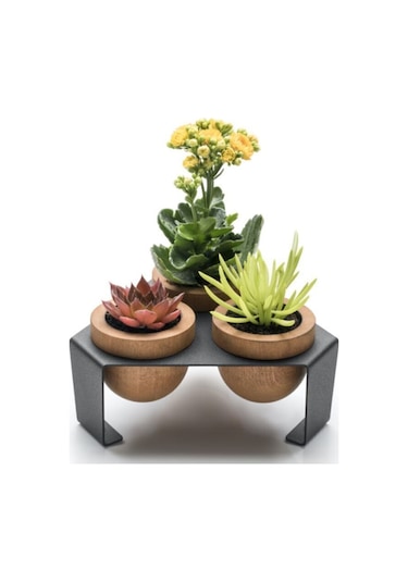 Halohope Metal Stantlı 3'lü Skulent Saksısı Siyah Saksılık