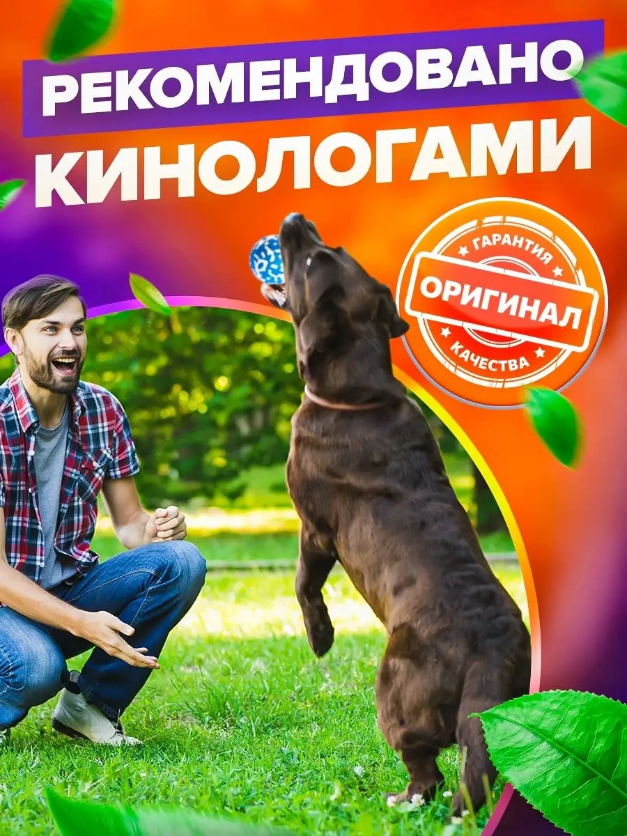 Petfort Köpekler İçin Çiğneme Oyuncağı, Süper Dayanıklı Top 159440220