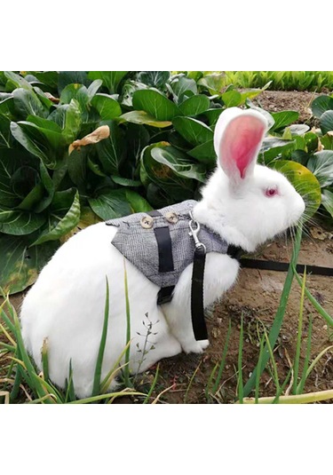 Lemestar Tavşan Kedi Küçük Köpek İçin Pamuklu Tasma, Sakal Giyimi, Boyut L Boyun 25-30cm, Gögüs 34-44cm