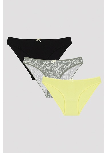 Zebra 3lü Slip Külot Çok Renkli