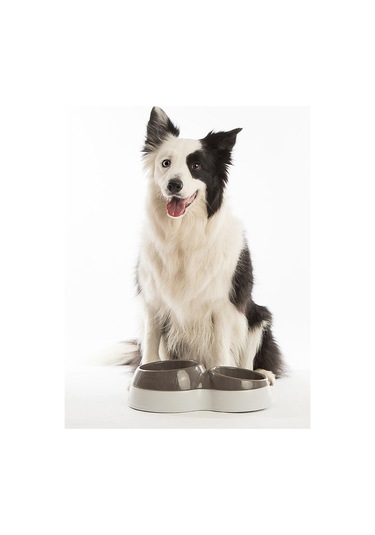 Ciotolotto Büyük Boy Mama Ve Su Kabı Kahverengi