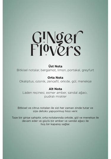 Carpex Ginger Flowers 125 Ml. Classic Seri E2 Power Makine Koku Kartuşu 6 Adet Ginger Flowers