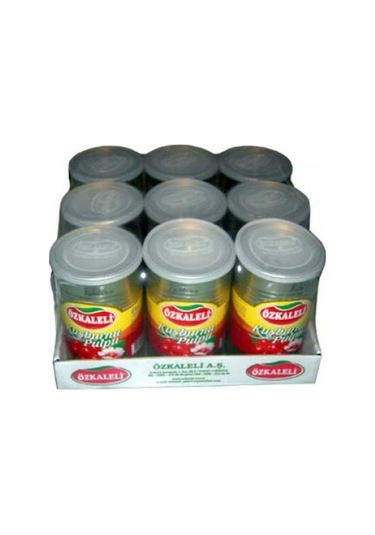 Özkaleli Şekersiz Kuşburnu Pulpu 9 x 1250 G