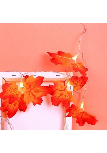 Novahub Sevgililer Günü Hediyesi Akçaağaç Yaprakları Işık Dizisi, Ekonomik Çelenk Lambası