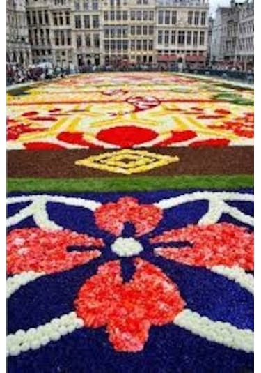 100 Adet Tohum Çok Nadir Bulunan Japon Halısı Çiçeği Tohumu Saksı