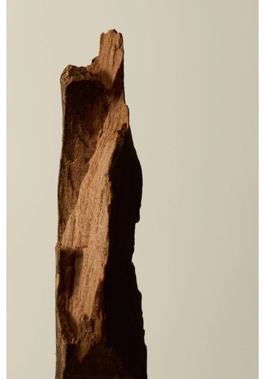Aesop Kagerou Aromatique Incense 33 Çubuk Vetiver Tütsü