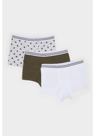 DeFacto Erkek Çocuk Kaktüs Desenli 3'lü Boxer E6871A825SPWT34 DeFacto Erkek Çocuk Kaktüs Desenli 3'lü Boxer E6871A825SPWT34