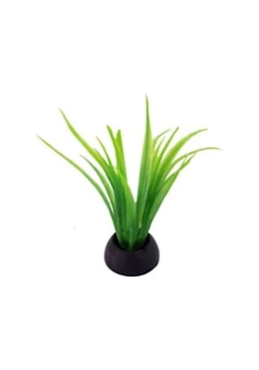 Akvaryum Dekor Plastik Bitki Karışık Renkli 10Cm