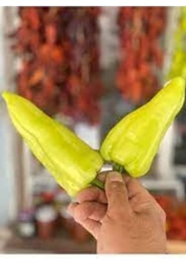 100 Adet Tohum Nadir Kale Acı Biber Tohumu Saksı Toprak Hediyeli