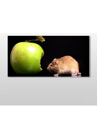 Elma Ve Hamster Kanvas Tablo