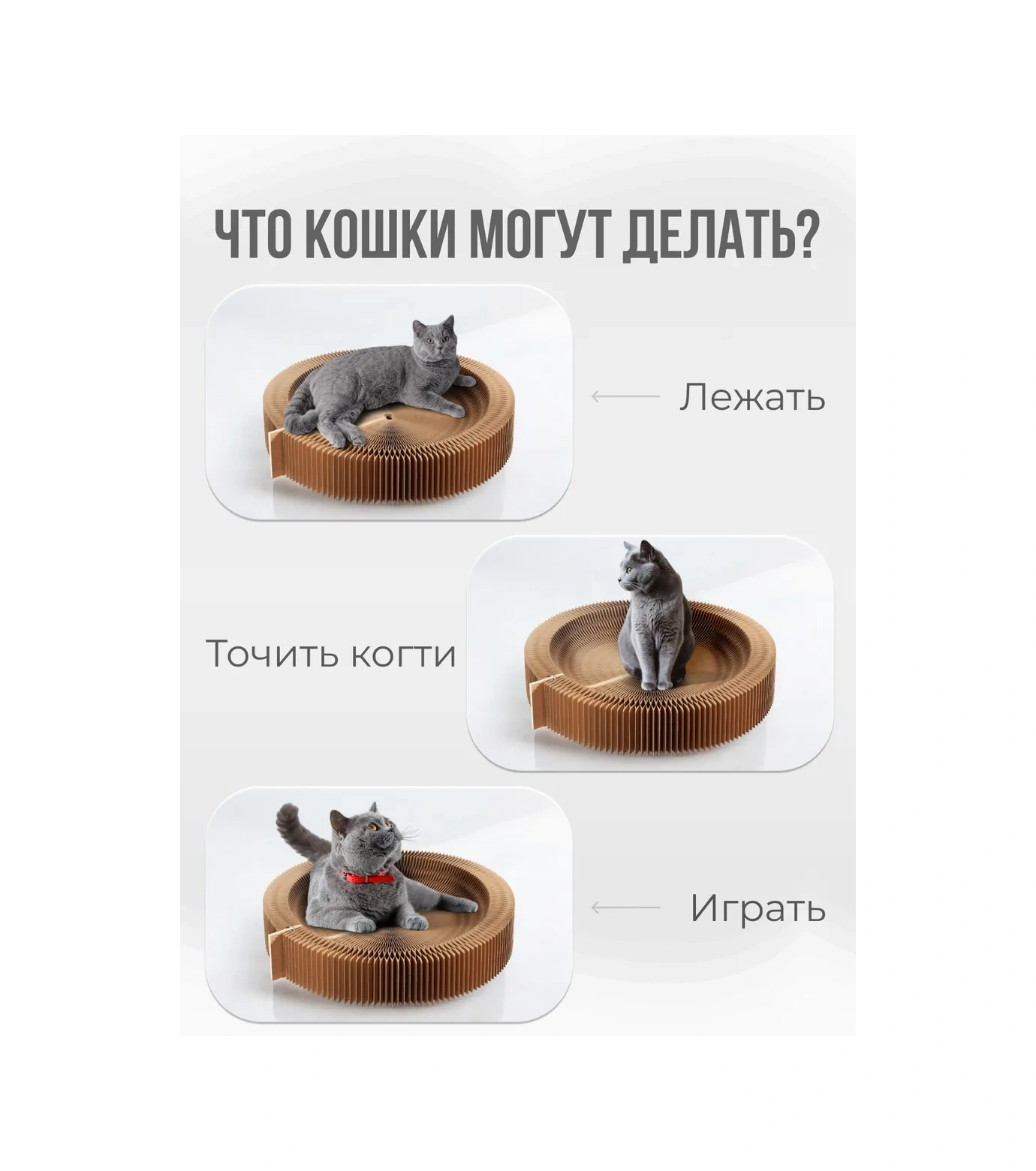 Kogtedralka Karton Yer Kedi Tırmalama Tahtası 123811523