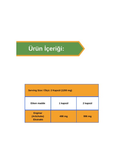 Afye Enginar Ekstraktı 600 Mg Artichoke Özü 60 Kapsül