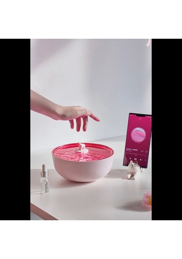 Newface Z5 Arktik Okyanus Temalı Bt Kablosuz Hoparlör - Pembe