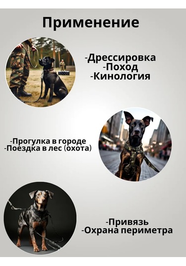 Tehpro44 Köpekler İçin 2 Metre Branda Tasma. 274289400 Siyah