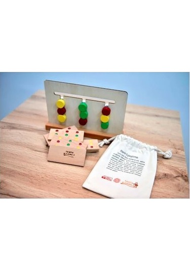 Montessori Renk Eşleştirme Mantıksal Zeka Oyunu