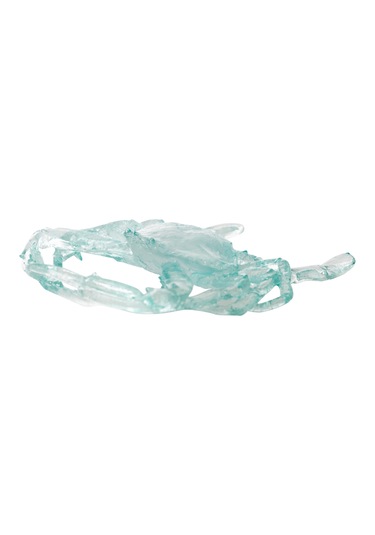 Mudo Home Ocean Crab Biblo 16x17x3 Cm