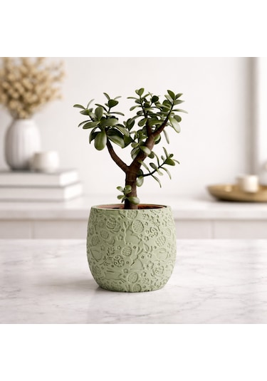 Fibrika Store Spring-relief: Kabartma Desenli Dekoratif Saksı Yeşil