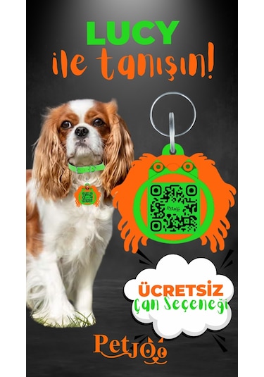 Petjoo 11.Lucy Turuncu-Yeşil Qr'lı Köpek Künyesi