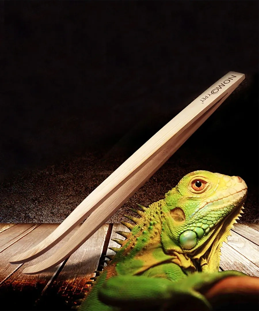 Petsroom Akvaryum Ve Teraryum İçin Sürüngen Besleme Penseti 51448436